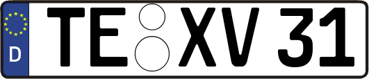 TE-XV31
