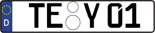 TE-Y01