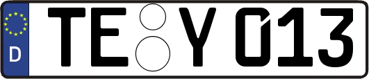 TE-Y013