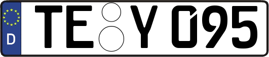 TE-Y095