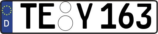 TE-Y163