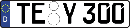 TE-Y300