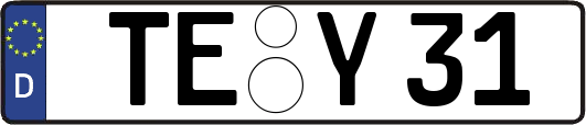 TE-Y31