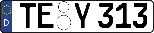 TE-Y313