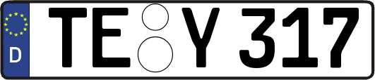 TE-Y317