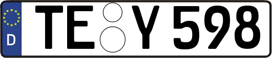 TE-Y598