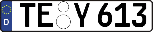 TE-Y613
