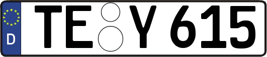 TE-Y615