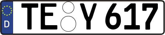 TE-Y617