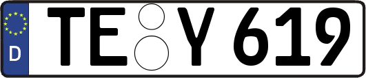 TE-Y619