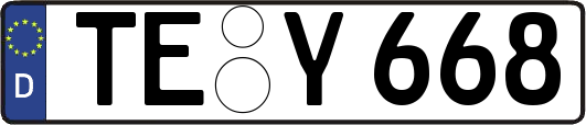 TE-Y668