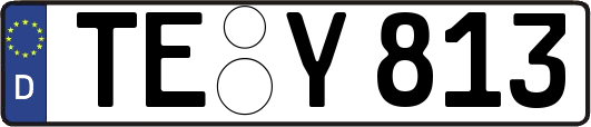 TE-Y813