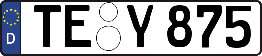 TE-Y875