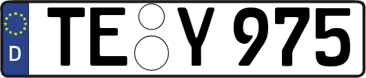 TE-Y975