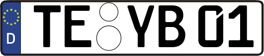 TE-YB01