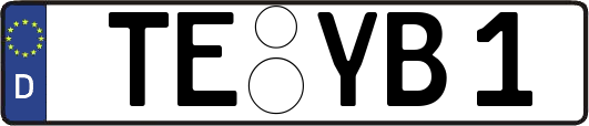 TE-YB1