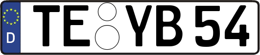 TE-YB54