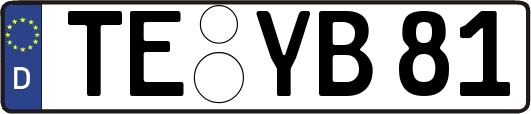 TE-YB81