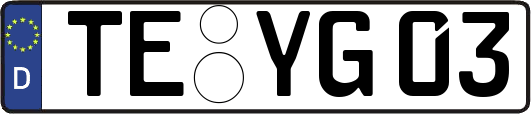 TE-YG03