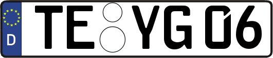 TE-YG06
