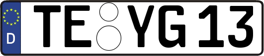 TE-YG13