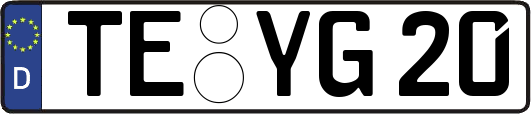 TE-YG20
