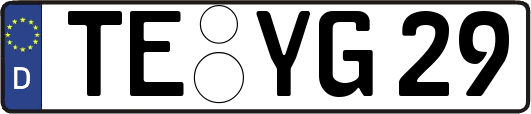 TE-YG29