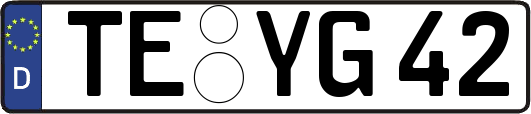 TE-YG42