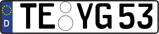TE-YG53
