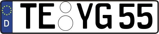TE-YG55