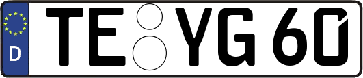 TE-YG60