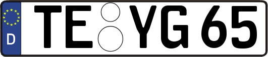 TE-YG65
