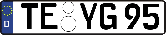 TE-YG95