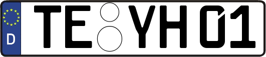 TE-YH01