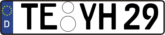 TE-YH29