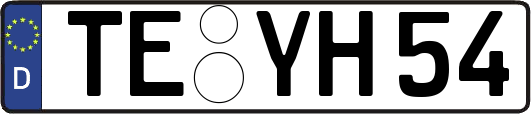 TE-YH54