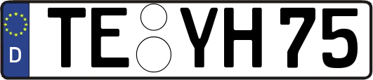 TE-YH75