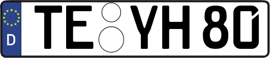 TE-YH80