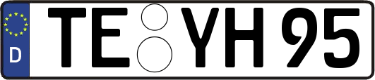 TE-YH95