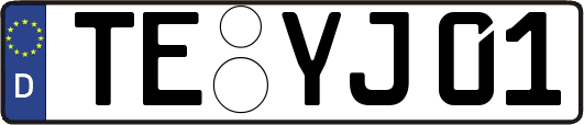 TE-YJ01