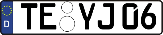 TE-YJ06