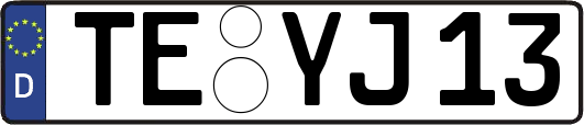 TE-YJ13