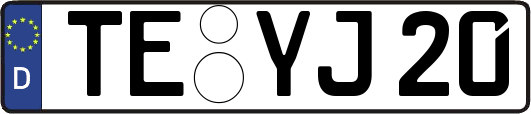 TE-YJ20