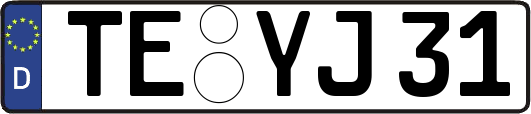 TE-YJ31