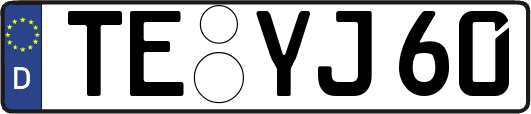 TE-YJ60