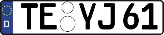 TE-YJ61