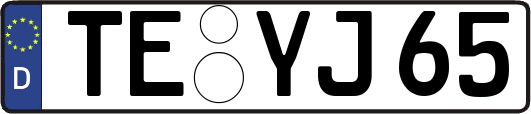 TE-YJ65