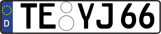TE-YJ66