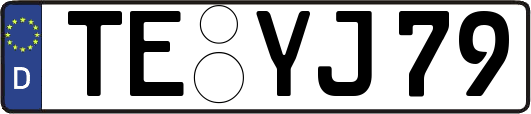 TE-YJ79