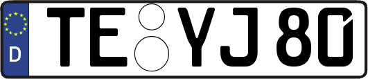 TE-YJ80